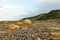 Rocks at Blast Beach, Dawdon, that are Stained due to Industrial Waste