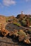 Rocks & cactus plant at Jardin de Cactus garden, the last work CÃ©sar Cesar Manrique performed in Lanzarote, Spain