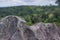 Rocks, cliffs, forest green background.