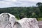 Rocks, cliffs, forest green background.