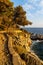 Rocks and cliffs shoreline sunset of Cap Ferrat cape hosting Saint-Jean-Cap-Ferrat resort town on at French Riviera in France