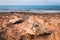 Rocks on the coast of Mediterranean Sea. Summer landscape