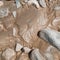 Rocks and cobbles on the river bed