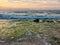 Rocks covered with algae on eroded beach at sunrise