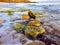 Rocks covered with algae on eroded beach at sunset