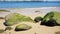 Rocks covered in green algae on Horseshoe Beach