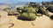 Rocks covered in green algae on Horseshoe Beach