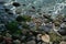 Rocks covered in seaweed along the coast in Paracas Peru