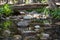 Rocks and Creek from Theresa Lake