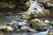 Rocks and creek water