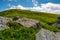 Rocks and dandelions on grassy hillside