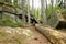 The rocks in deep woods of Å umava national park