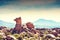 Rocks in the desert on plateau Altiplano, Bolivia