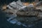 Rocks and dried grass reflected in water