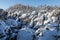 Rocks in the famous rocky city of Adrspach-Teplice rocks. Winter time trees, tourist routes and rocks covered with snow.