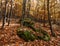 Rocks in the forest blanketed by the leaves of autumn