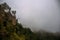 Rocks and forest in a foggy morning in a fog in the mountains of Lago Naki, a plateau in the Western Caucasus