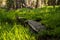 Rocks Form Creek Crossing Through Wildflowers and Field