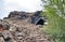 Rocks Formations, Lava Fields in Dimmuborgir, Iceland