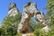 Rocks forming the letter M in stone in the chaos of Montpellier-le-Vieux