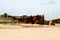 Rocks at Gantheaume Point, Broome, Western Australia.