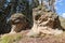 Rocks of Gnomes in Poland