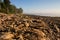 Rocks at the Gouldsboro Bay, Maine