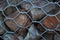 Rocks held by fence