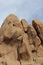 Rocks in Joshua Tree National Park California