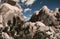 Rocks and Josua trees inside desert