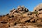 Rocks Like Faces On The Red Rock Coast In Ploumanach In Bretagne France