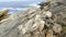 Rocks and limestone eroded on the coast of the sea