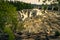 Rocks, Logs, Textures and a Dam on the St John