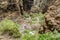 Rocks in the Masca gorge, Tenerife, showing solidified volcanic lava flow layers and arch formation. The ravine or barranco leads