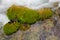 Rocks and moss water