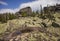 Rocks on Mount Zelenaya. Sheregesh, Russia