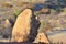 Rocks and Mountains in ugab valley Namibia Africa