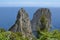 Rocks and nature Capri island in Italy photography