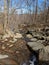 Rocks nature moss woods creek