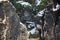 Rocks near the famous Bastei in Swiss Saxony