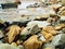 Rocks on pacific shoreline