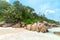 Rocks and palms in Anse Georgette beach