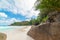 Rocks and palms in Anse Georgette beach