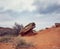 Rocks in Palo Duro Canyon state park.Texas