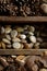 Rocks pine cones potpourri in wooden box