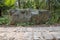 Rocks, plants and alley arranged in the outdoor park