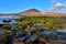 Rocks and puddles at low tide