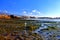 Rocks and puddles at low tide