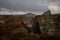 Rocks on Rannoch Moor with stormy skies overhead, Scotland
