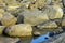 Rocks reflecting in tide pool at sunset near Albany, WA, Australia